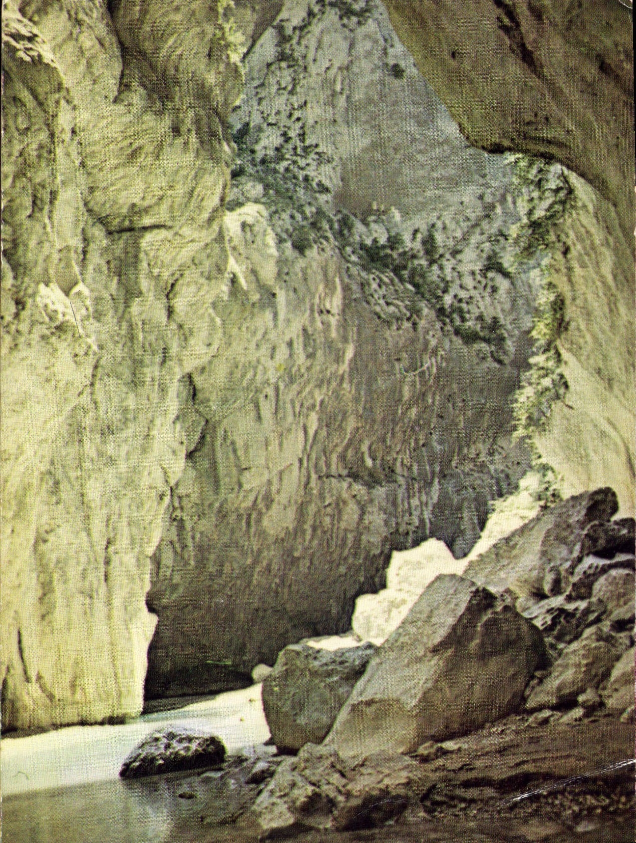 CPM Gorges du Verdon Alpes de Haute Provence Par fond sous 400 metres de Falaises 