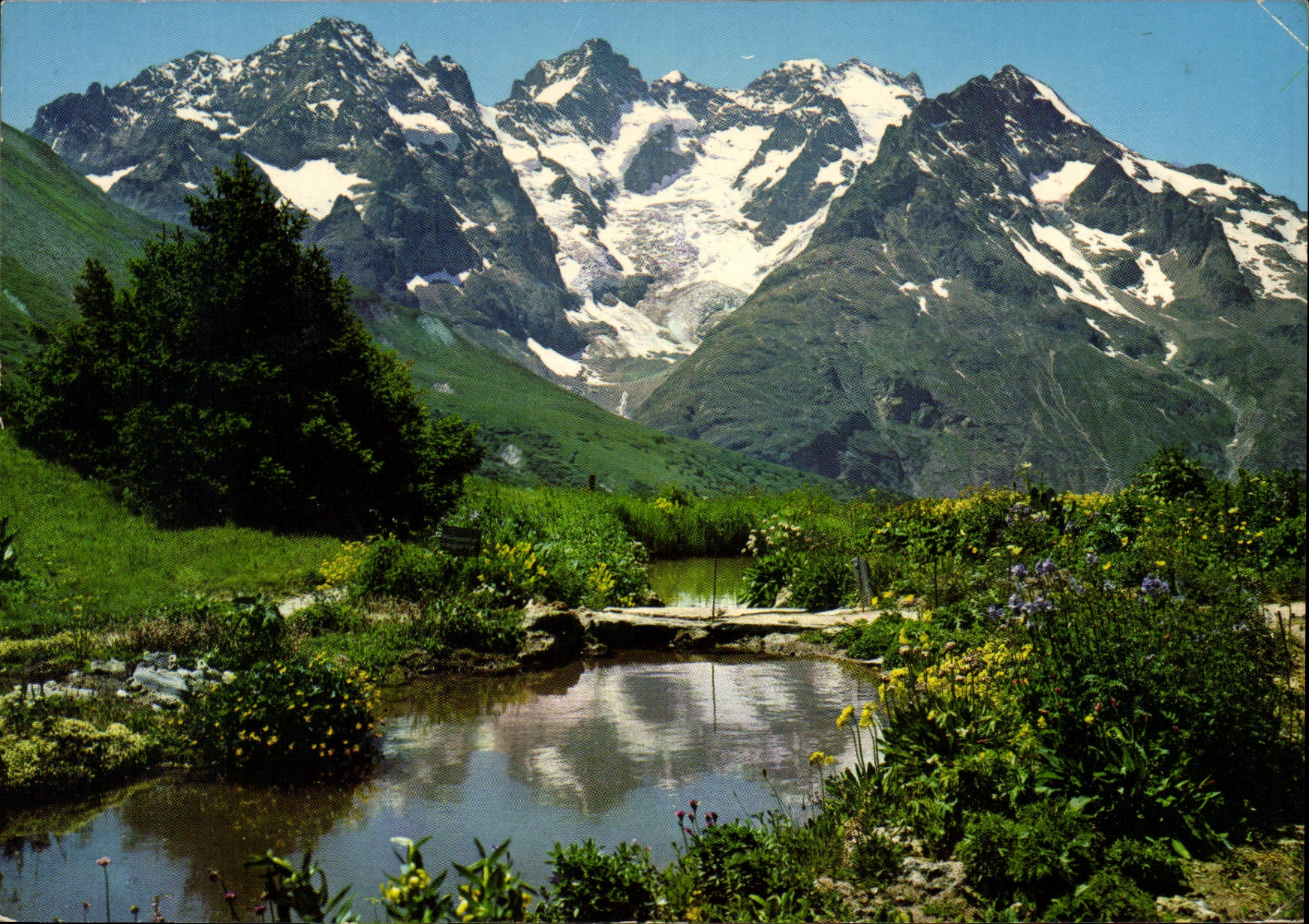 CPM Le Jardin Alpin au Col du Lautaret et Massif de la Meije