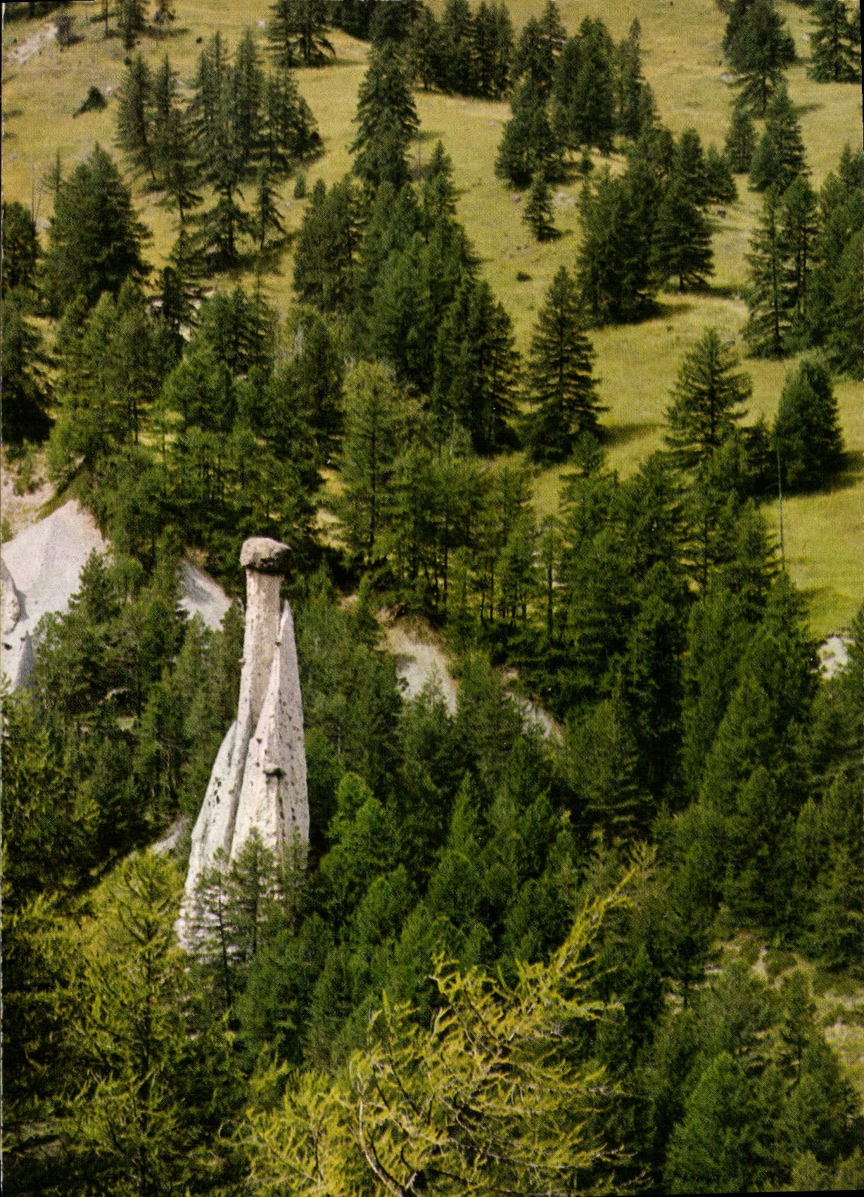 CPM Molines en Queyras Hautes Alpes Demoiselle Coiffee