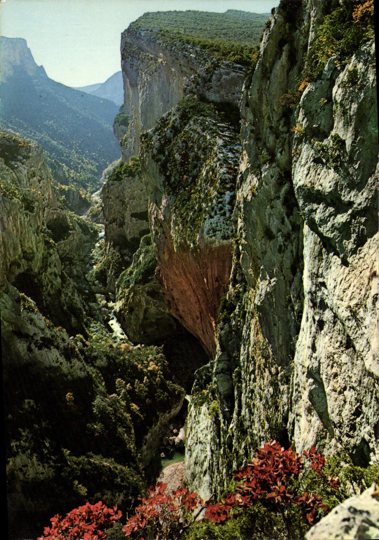 CPM Paysage de France Gorges du Verdon Var Alpes de Haute Provence un des plus beaux sites du monde 