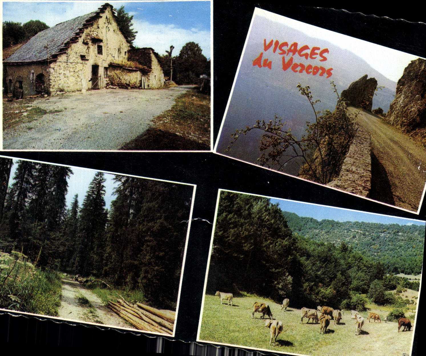 CPM Les Alpes du Dauphine Le Vercors