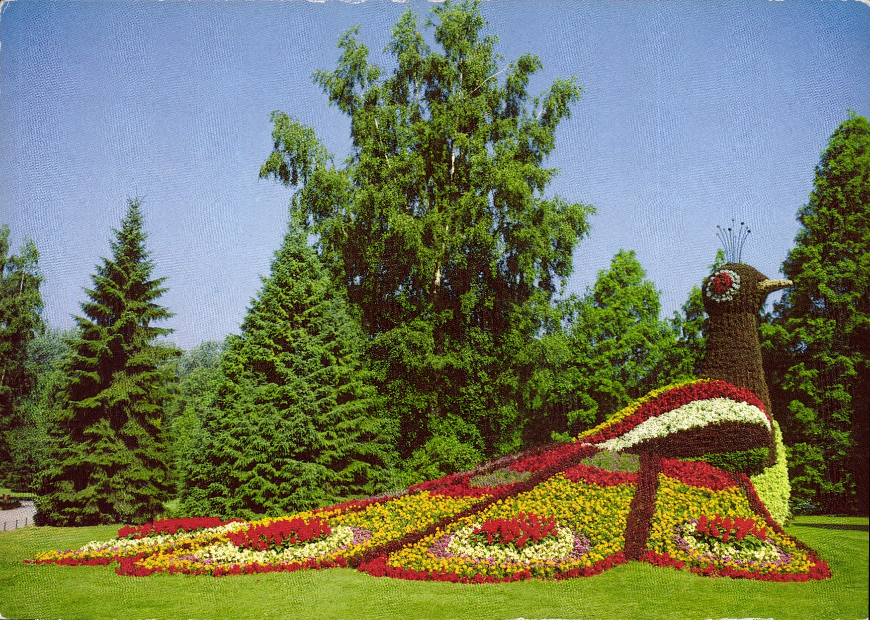 CPM Ile de Mainau au Lac de Constance Paon en fleurs au paradis des enfants