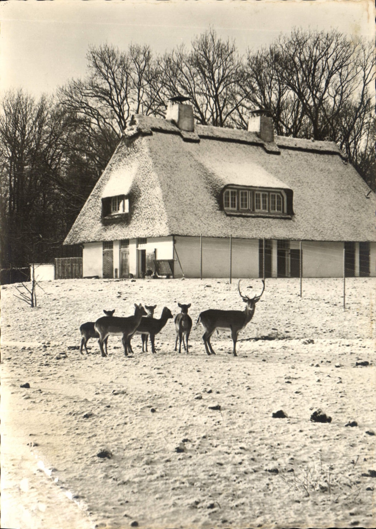 CPM Bremen Wildgehege im Burgerpark 