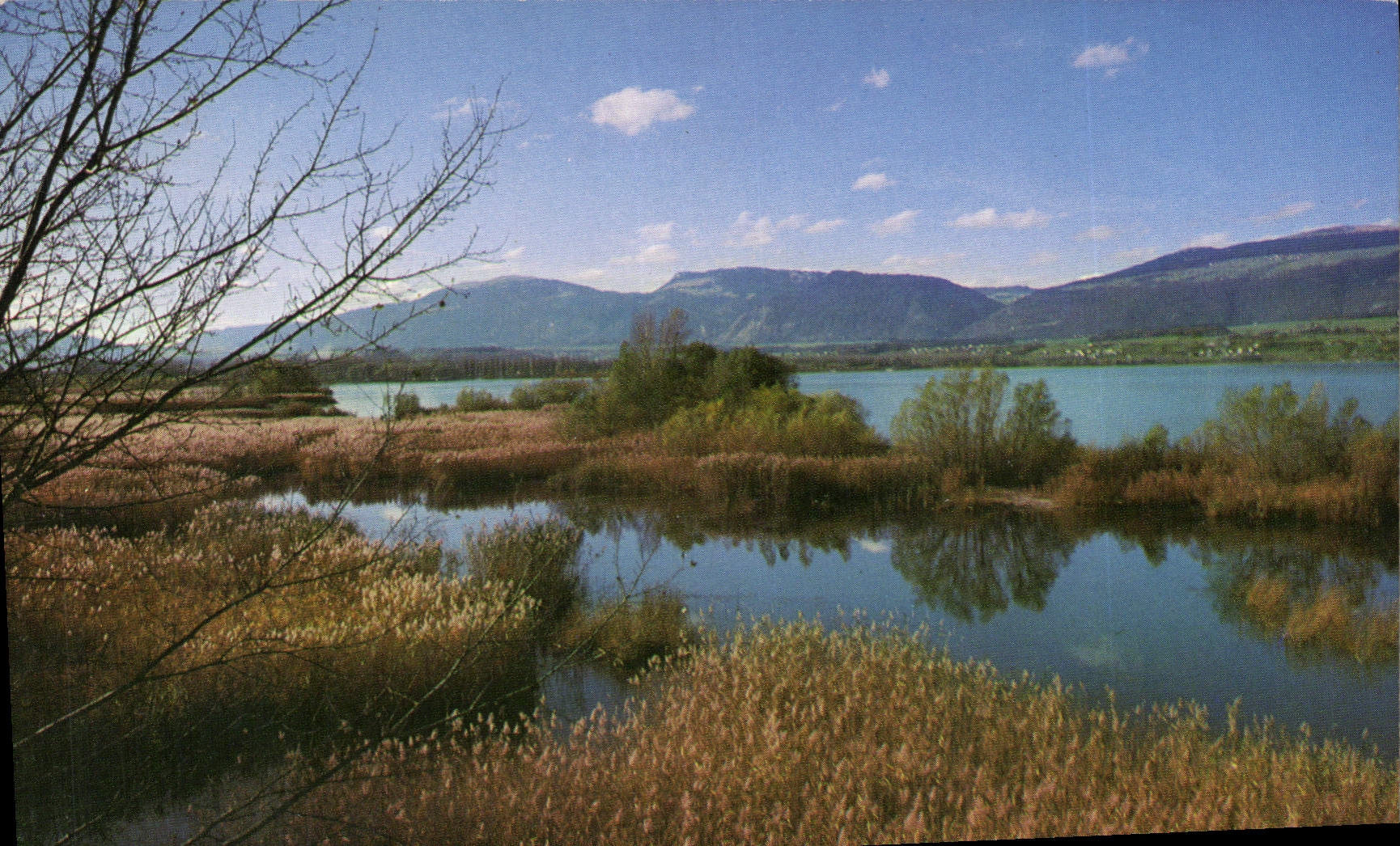 CPM Reserve naturelle de Champittet Yverdon 
