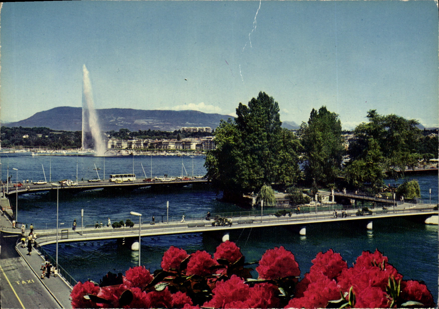 CPM Geneve Le pont des Bergues et l'Ile Rousseau 
