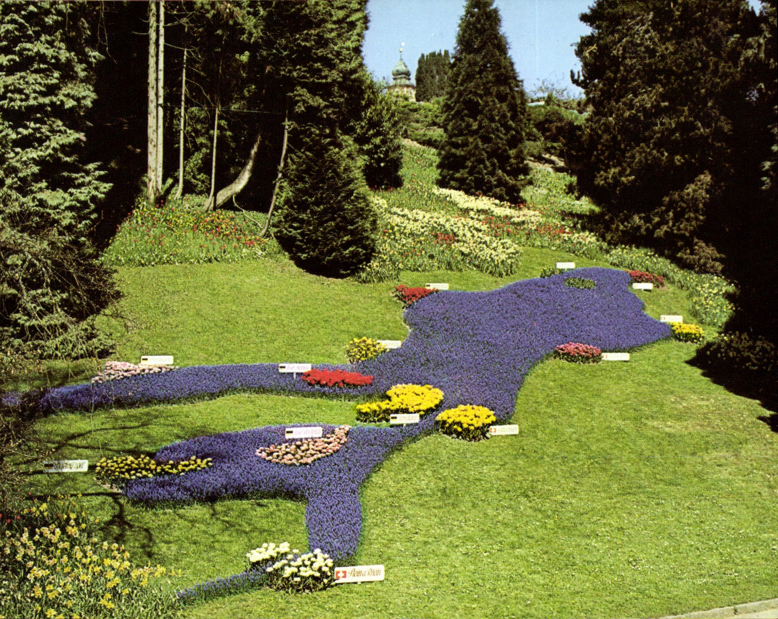 CPM Ile de Mainau au Lac de Constance Relief en fleurs le Lac de Constance au parc de la cote