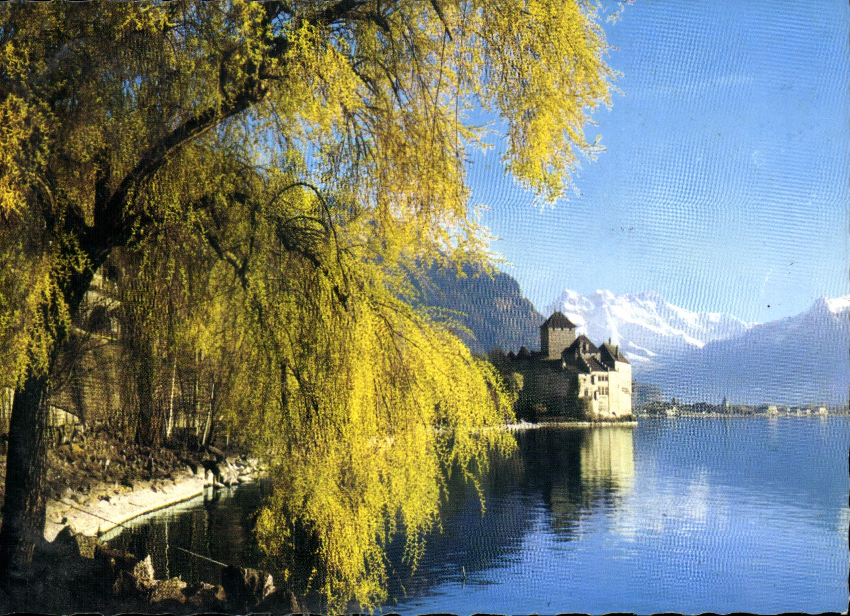 CPM Chateau de Chillon et les Dents du Midi 