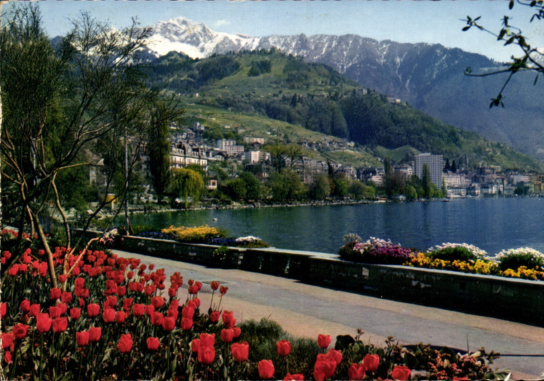 CPM Montreux Clarens les quais fleuris