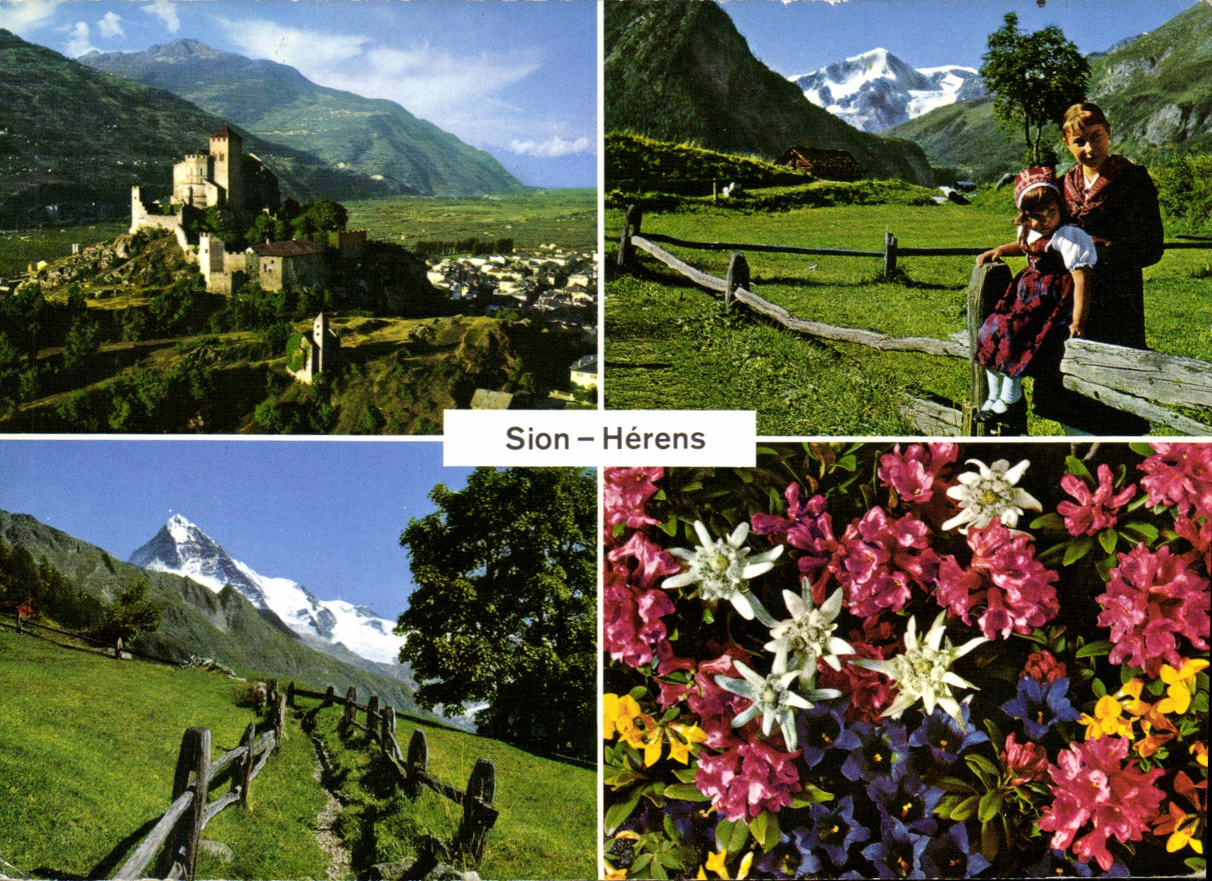 CPM Sion Val d'Herens Fleurs des Alpes