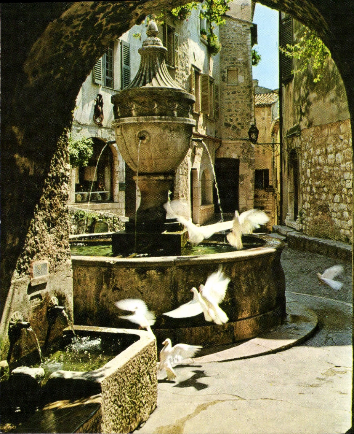 CPM Cote d'Azur French Riviera Saint Paul Alpes Maritimes colombes devant la fontaine provencale