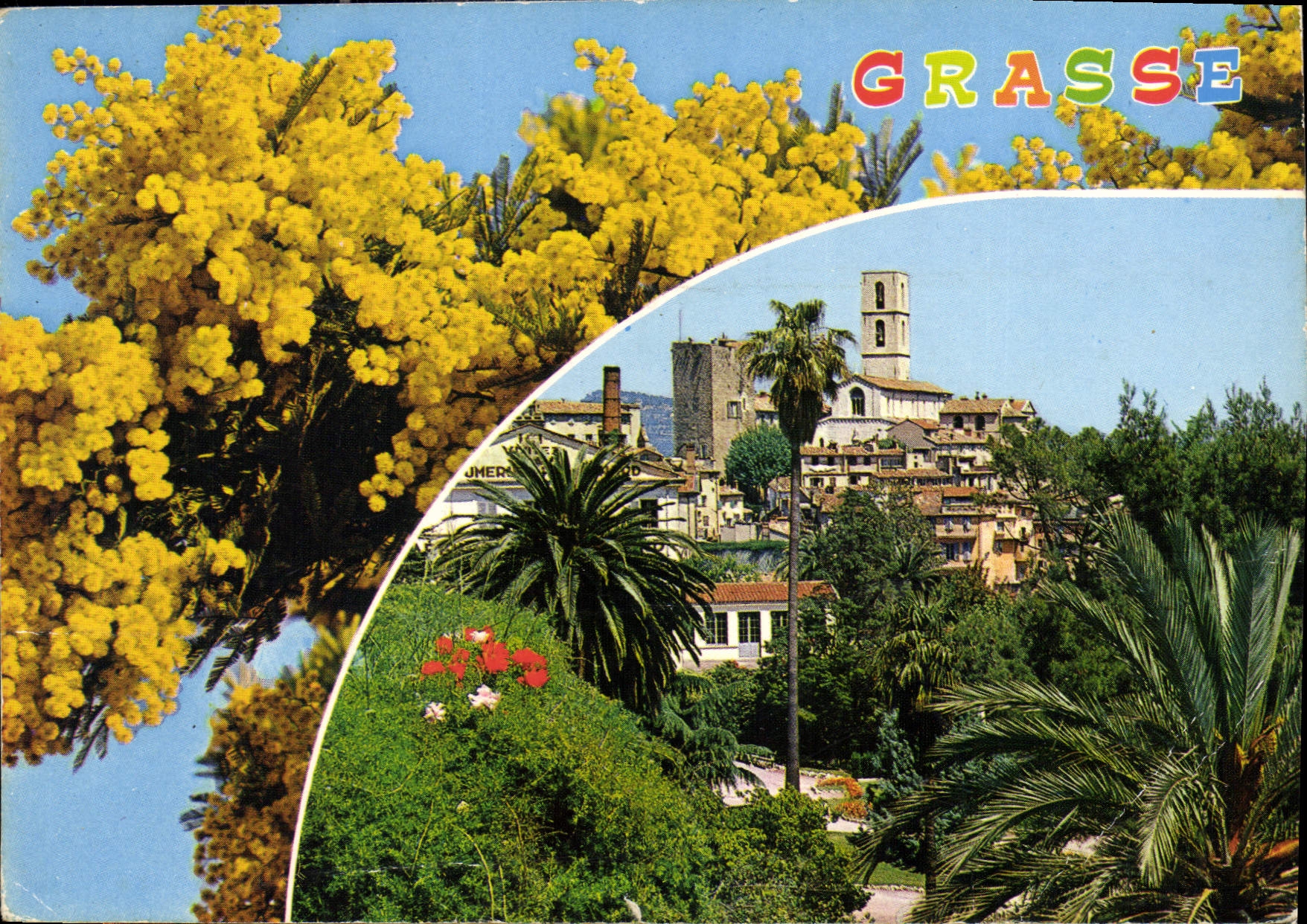 CPM Cote d'Azur French riviera Grasse Alpes Maritimes Cite des Fleurs capital des Parfums 