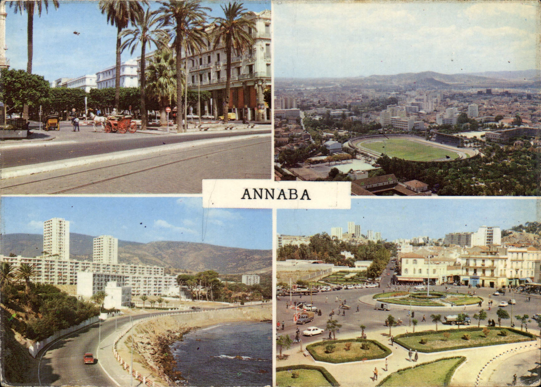 CPM Couleurs et lumieres d'Algerie Annaba