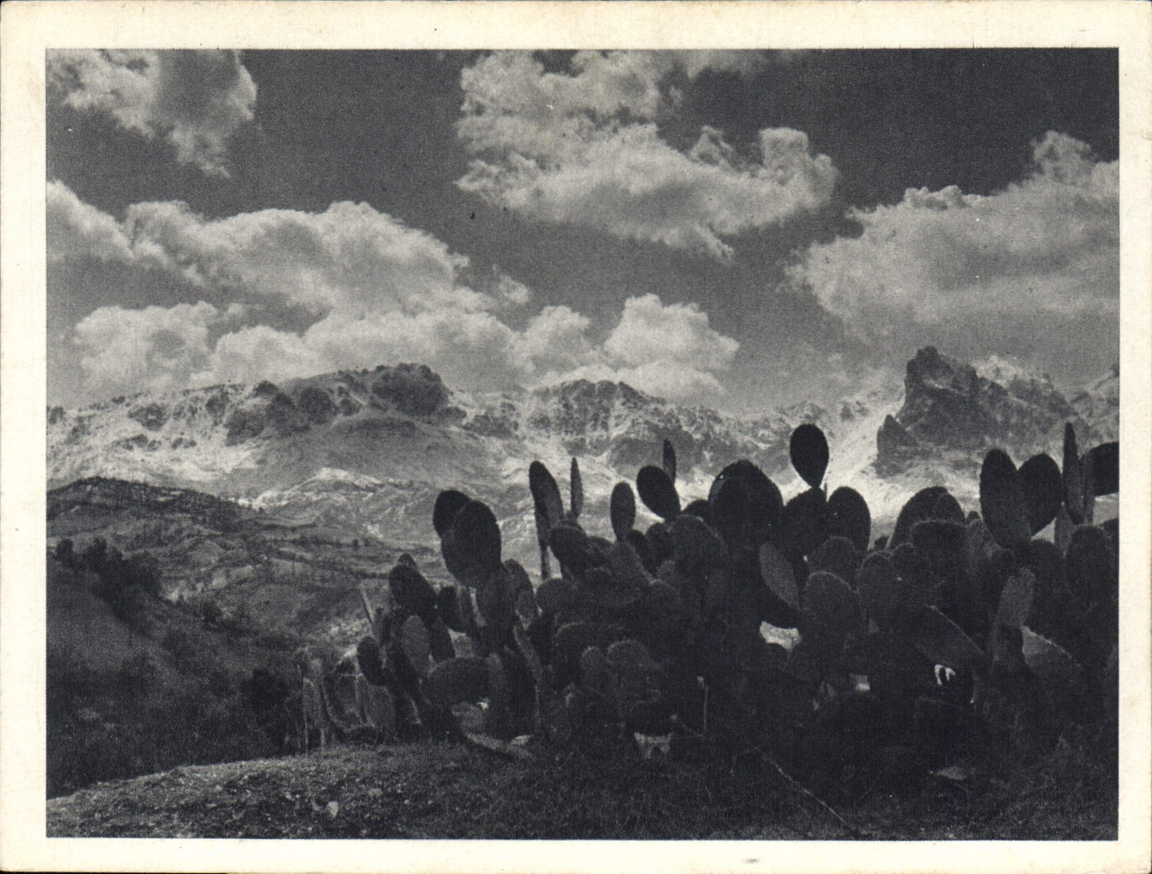 CPM Les Monts du Djurdjura Kabylie 