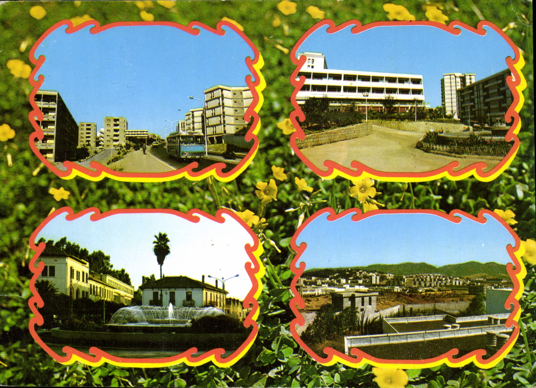 CPM Souvenir de Tizi Ouzou 