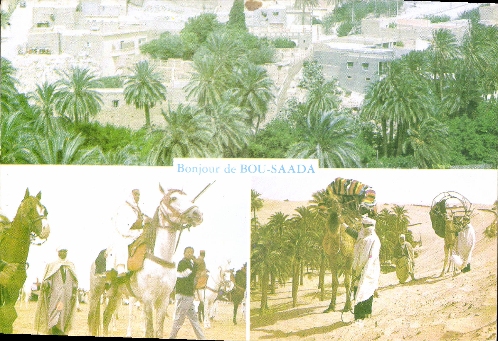 CPM Boussaada Vue d'ensemble Fantasia Caravane