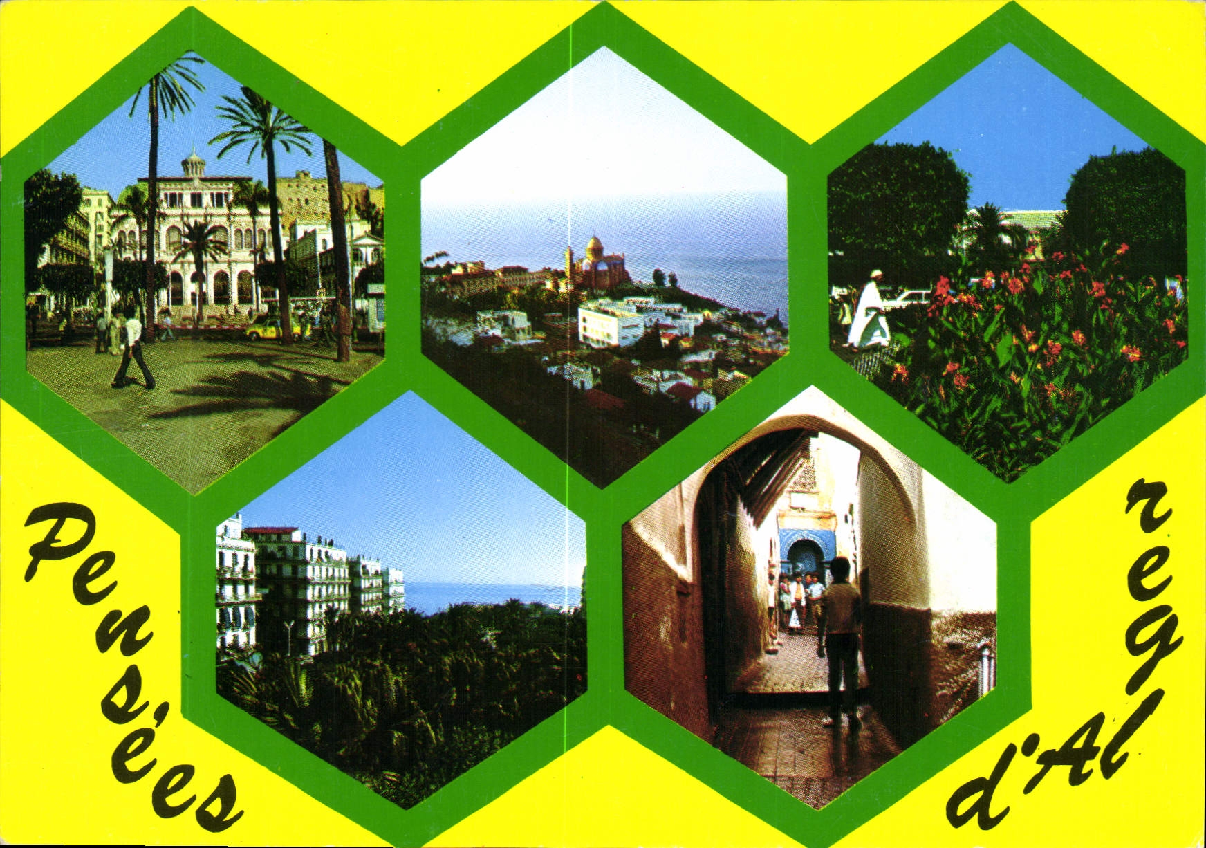 CPM Souvenir d'Alger 