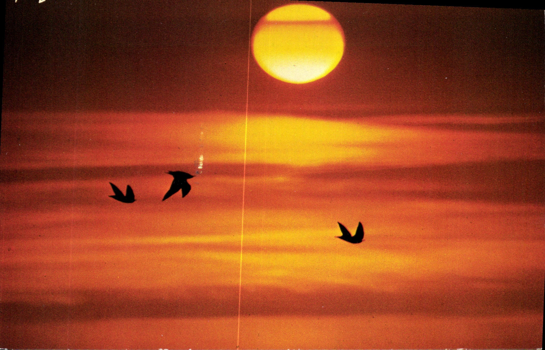 CPM Couleurs de Bretagne Crepuscule sur 