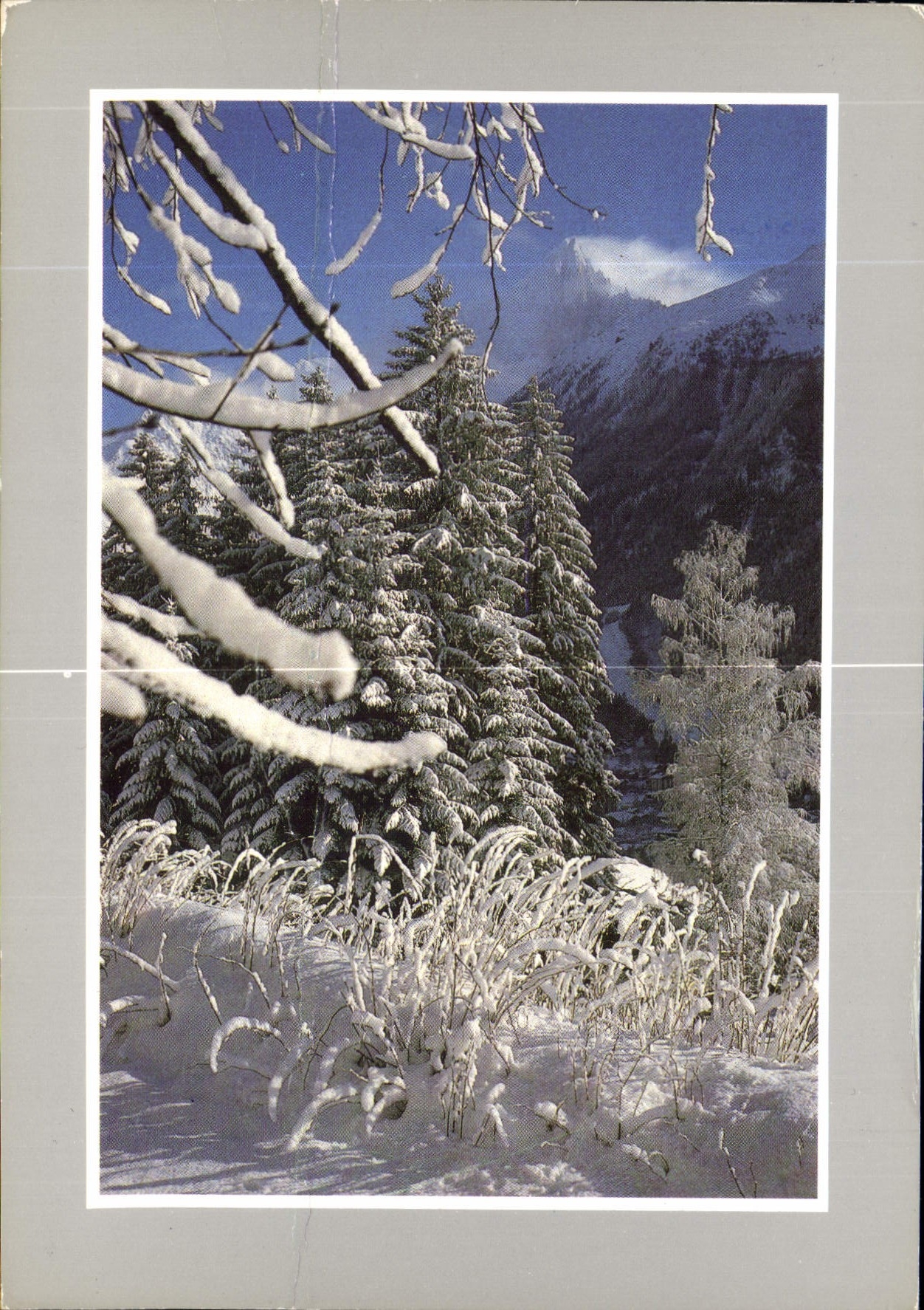 CPM Les joies de la neige 