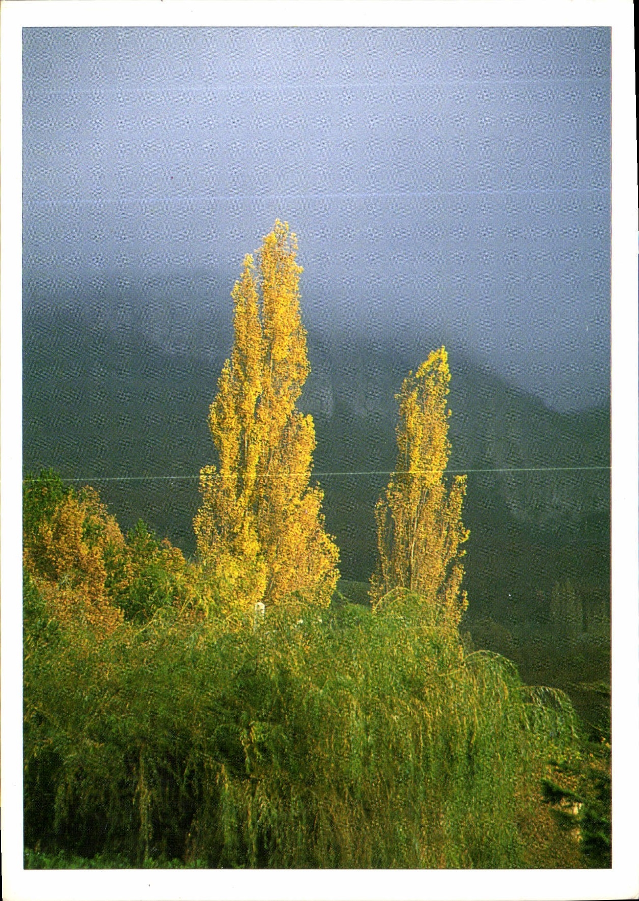 CPM Reflets de la Region 