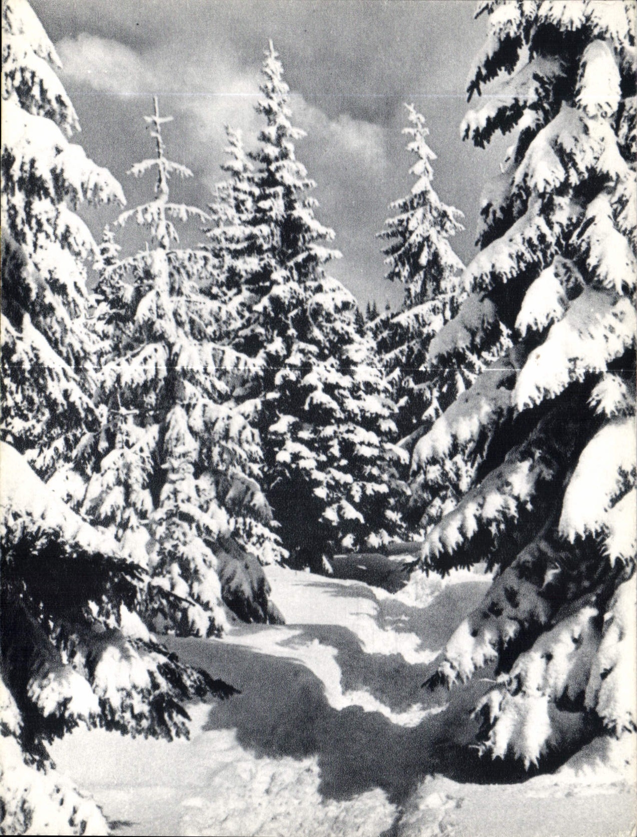 CPM A vous Paix et Joie 