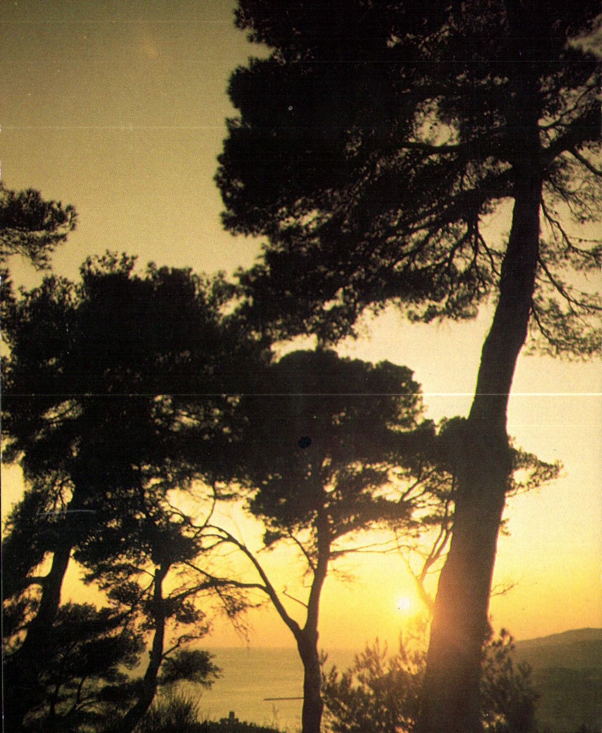 CPM Nature Que tu es Belle 