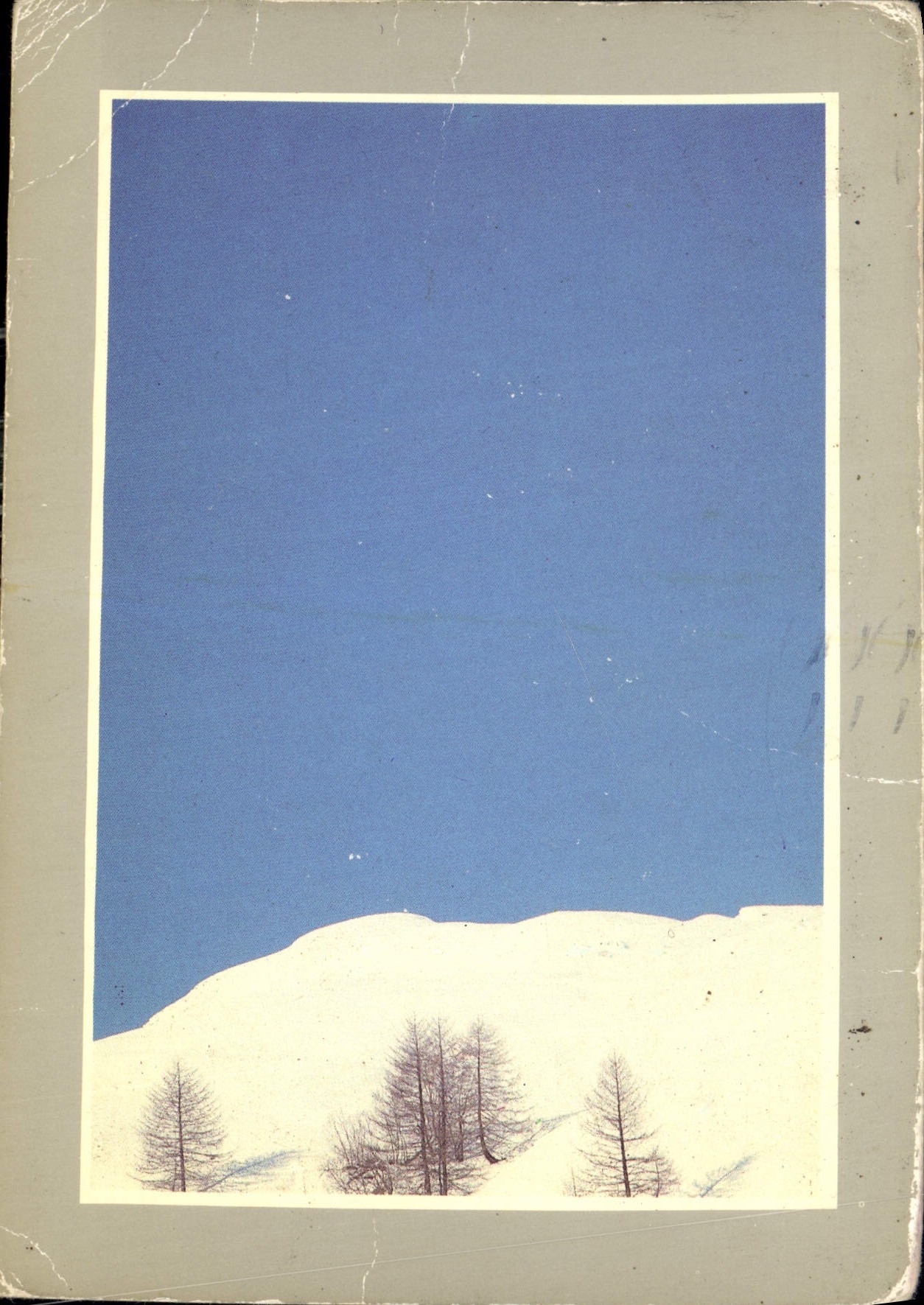 CPM Les joies de la neige 