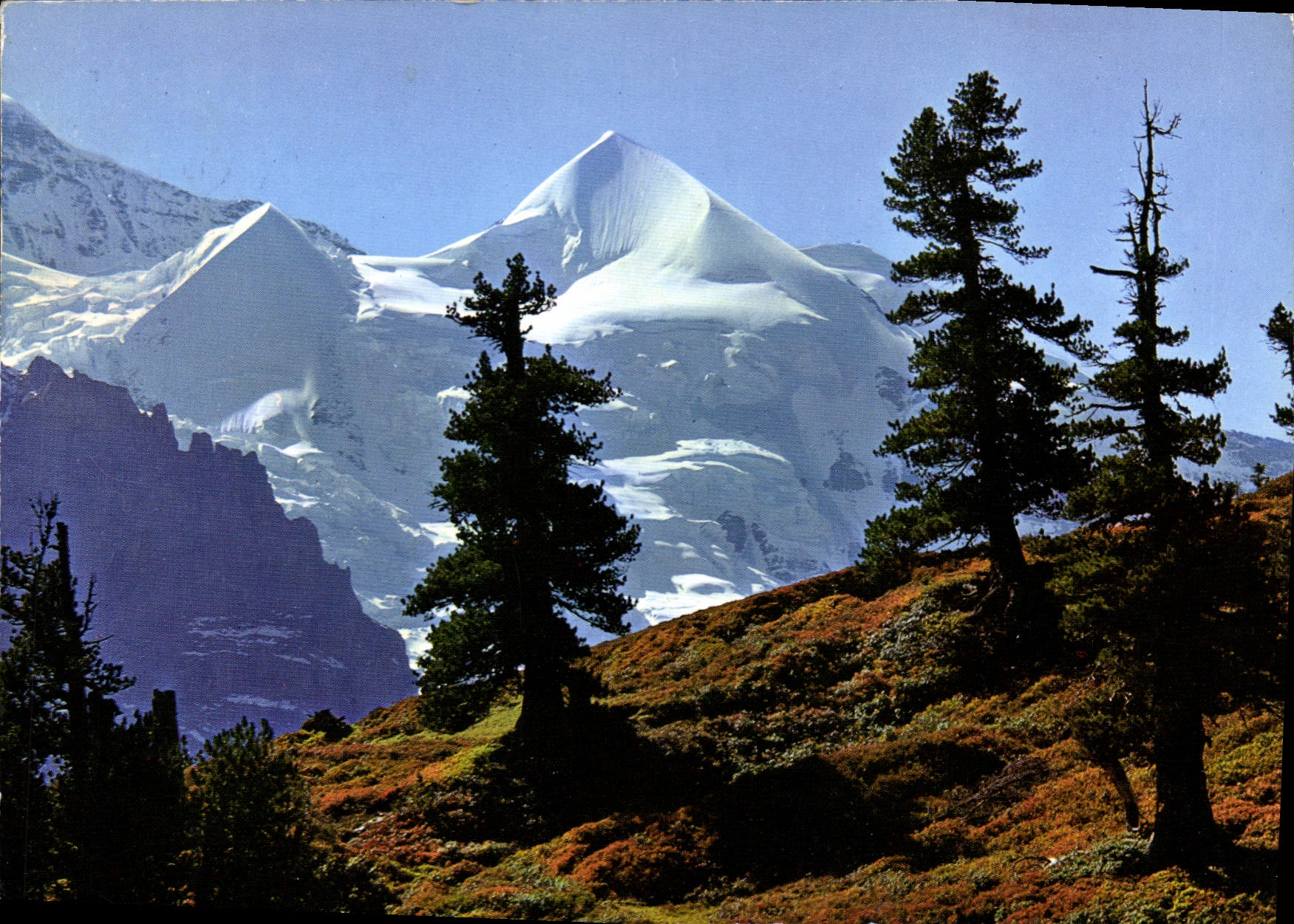 CPM Silberhorner 
