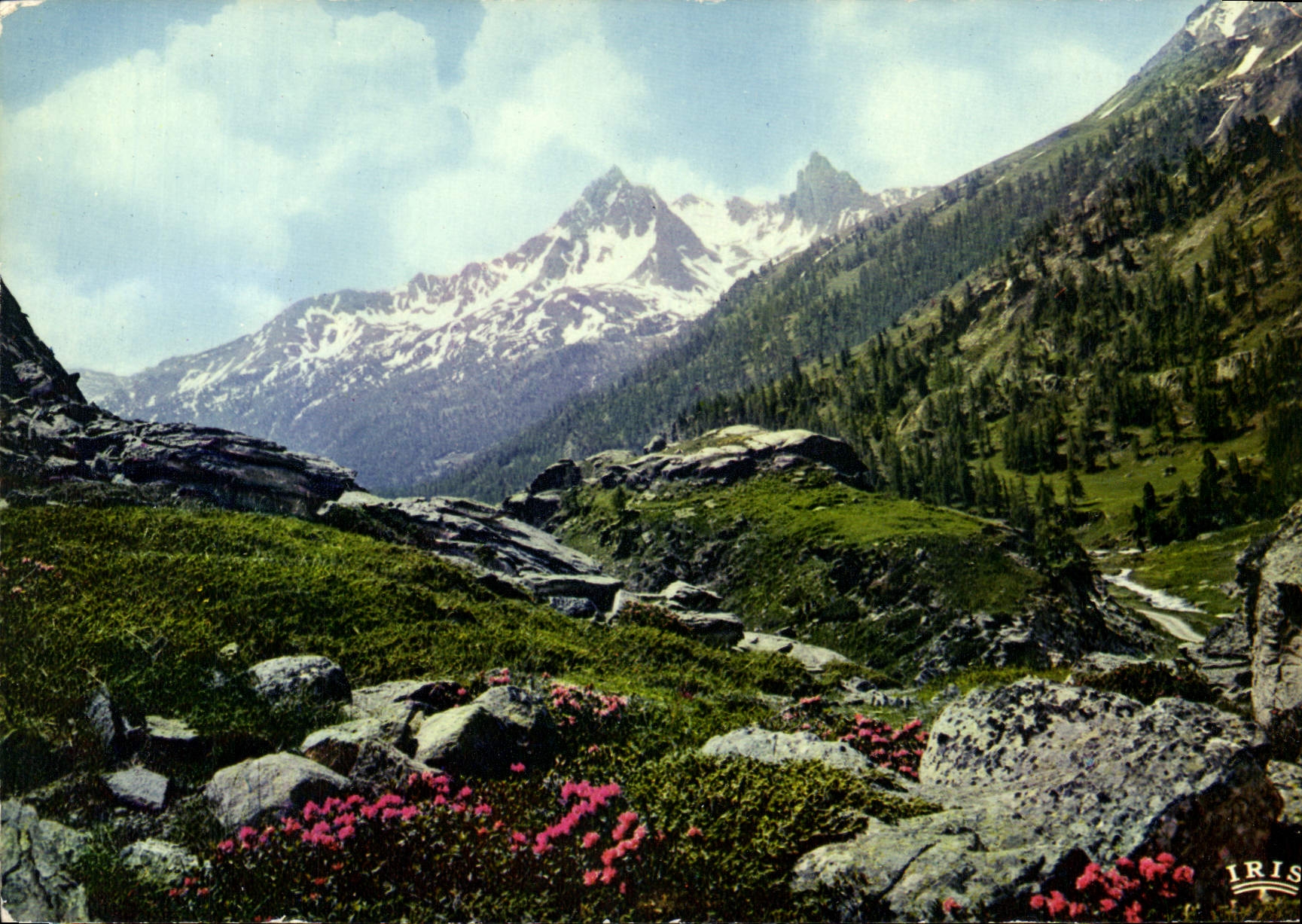 CPM L'eveil du printemps 