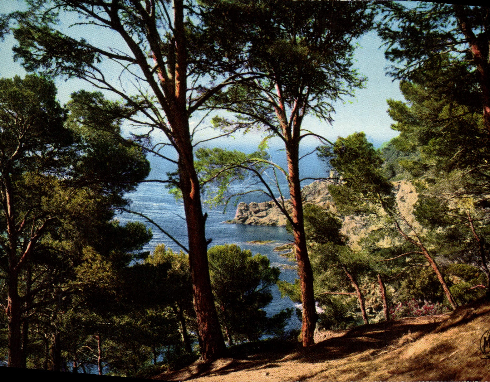 CPM La Mediterranee Falaises 