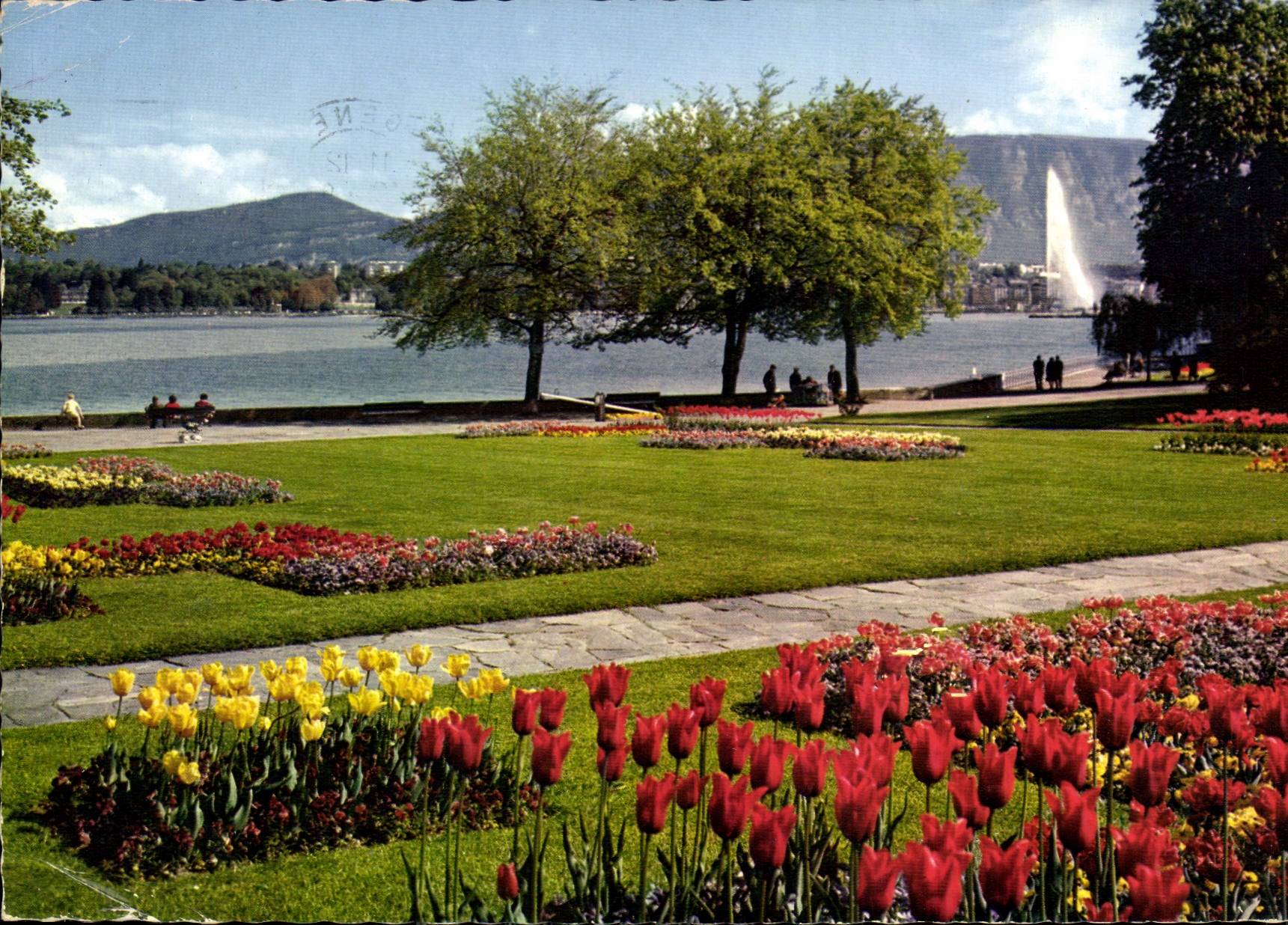 CPM Geneve le parc de la Perle du Lac 