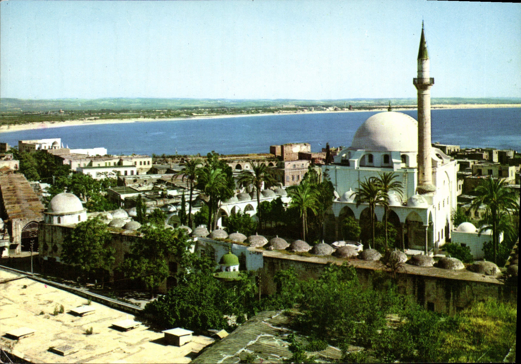 CPM Acre general view 