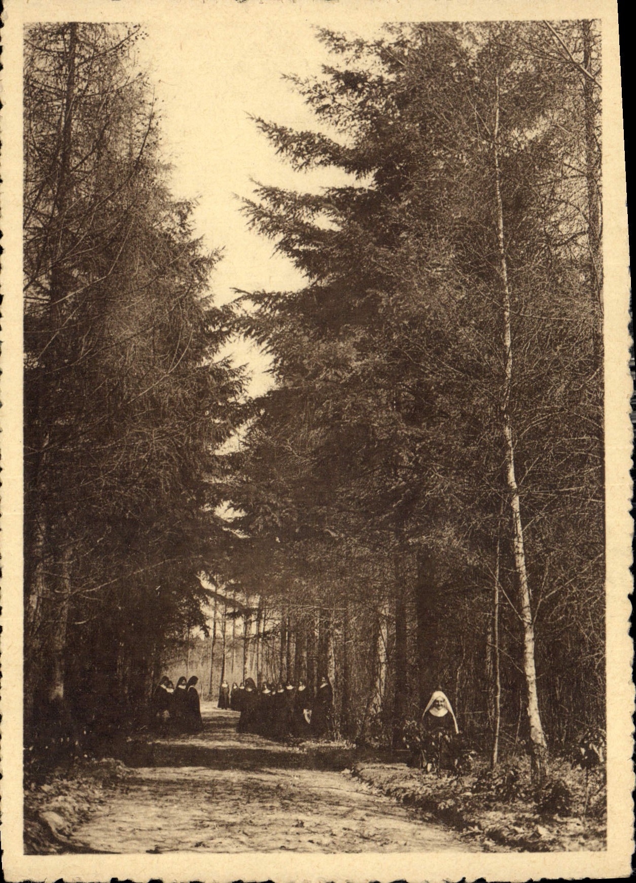CPM Monastere N D de Bethanie Lophem les Bruges Un coin du jardin Religieuses