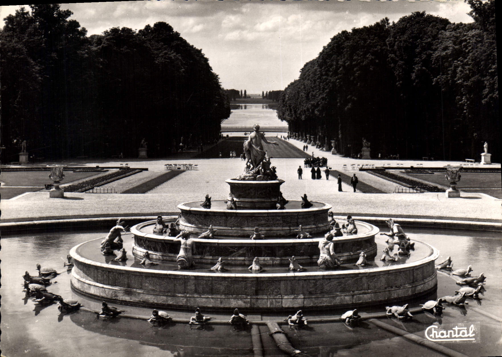 CPM Versailles Bassin de Latone 