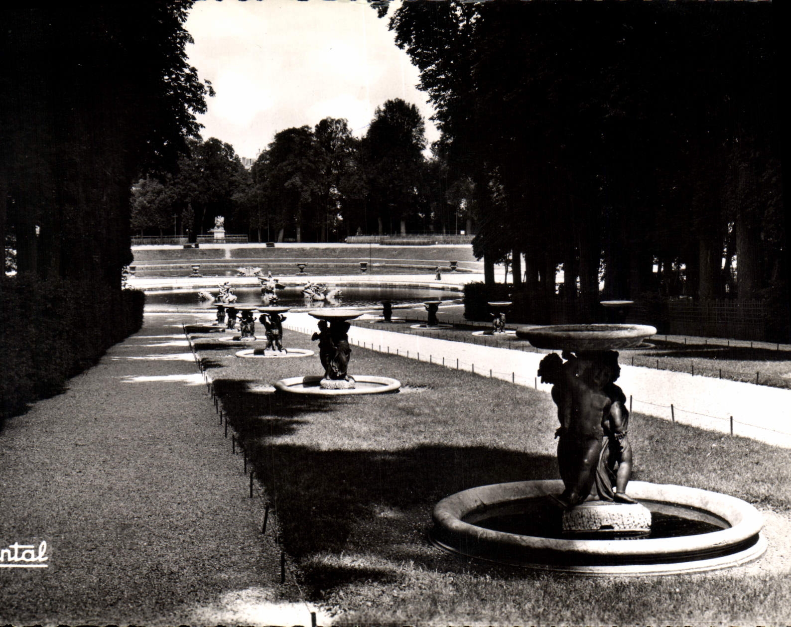 CPM Versailles Allee d'Eau les Marmousets 