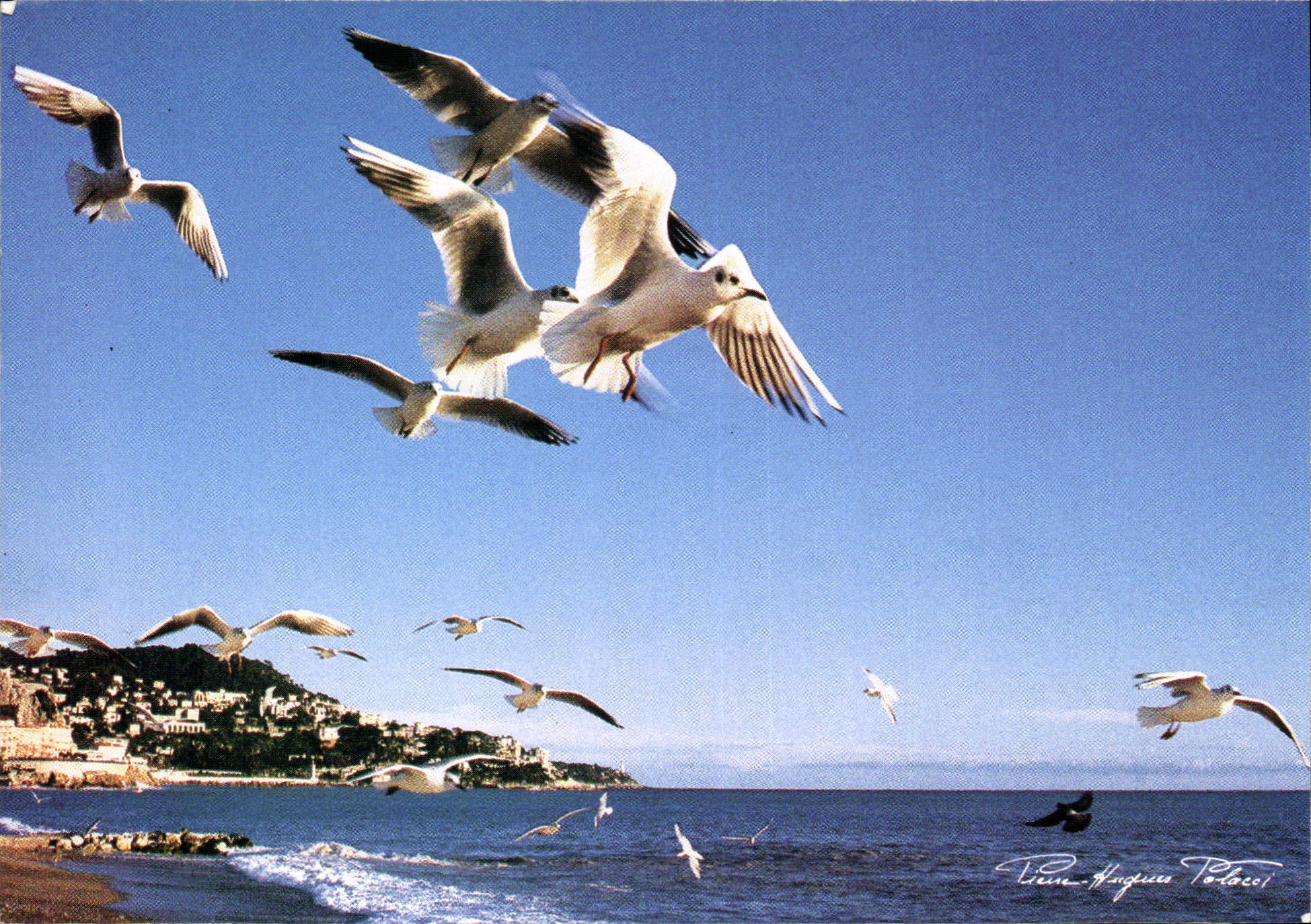 CPM Collection Un Autre Regard sur la Cote d'Azur