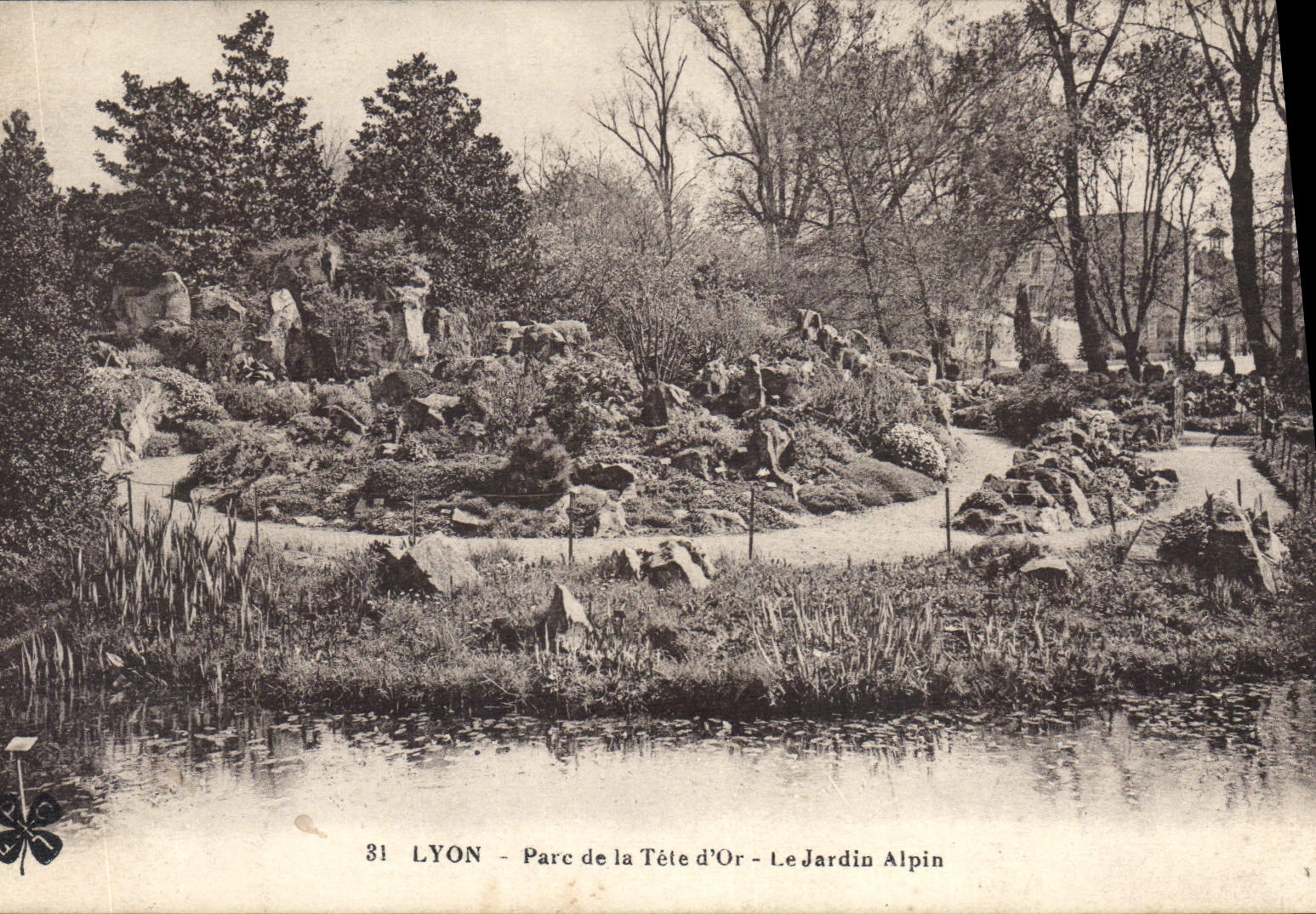 CPA Lyon Parc de la Tete d'Or le Jardin Alpin 