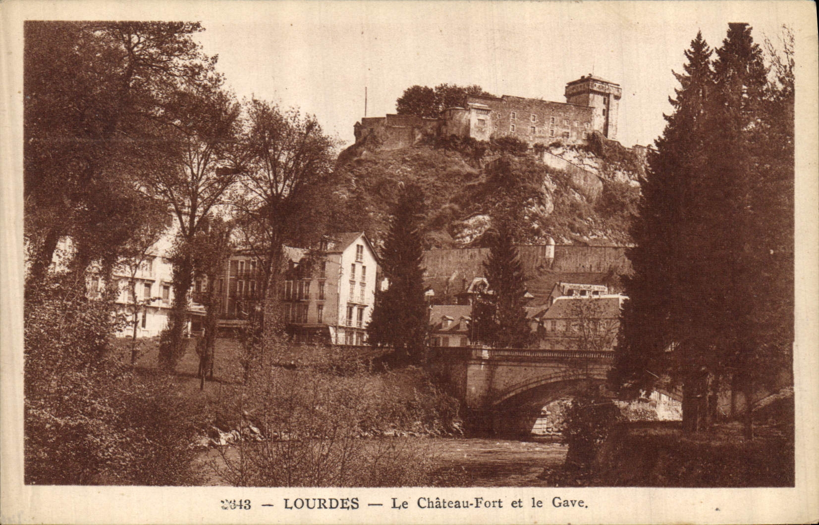 CPA Lourdes Le Chateau Fort et le Gave 