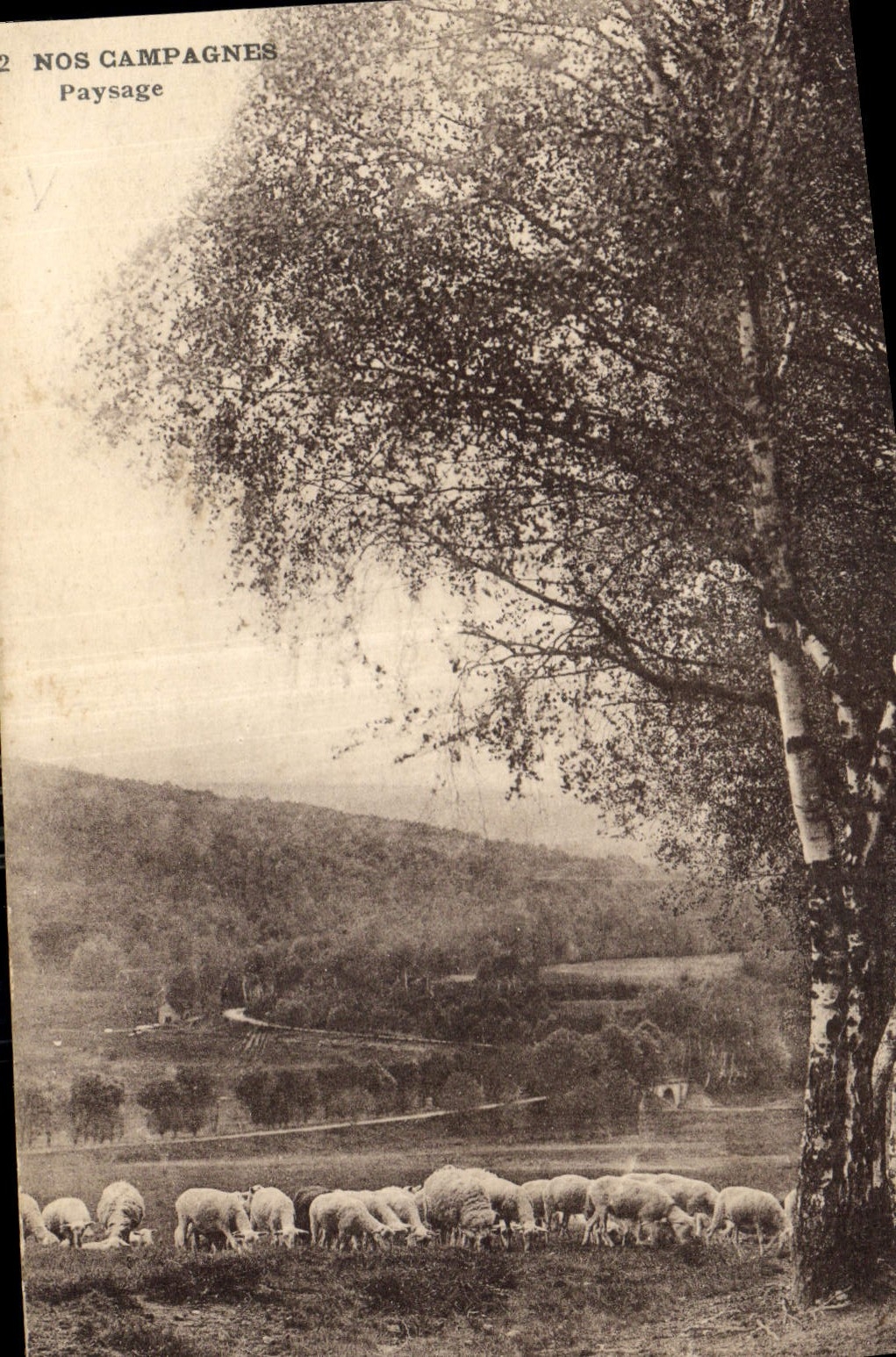 CPA Nos Campagnes Paysage 