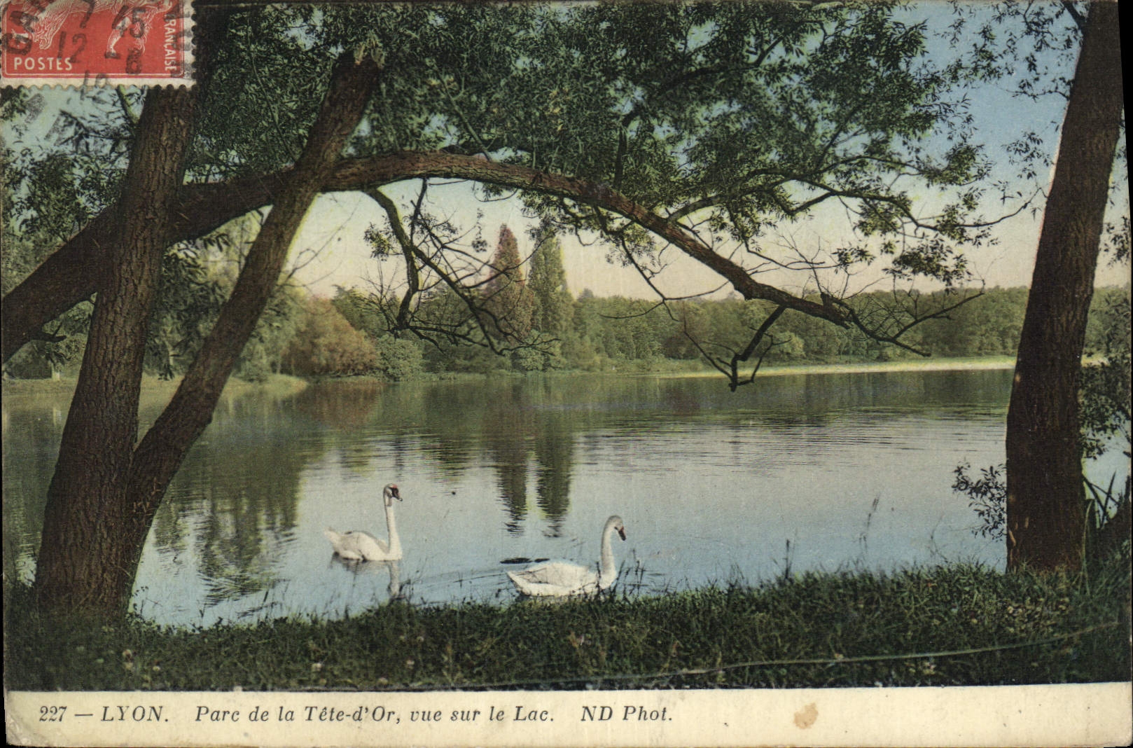 CPA Lyon Parc de la Tete d'Or vue sur le Lac 