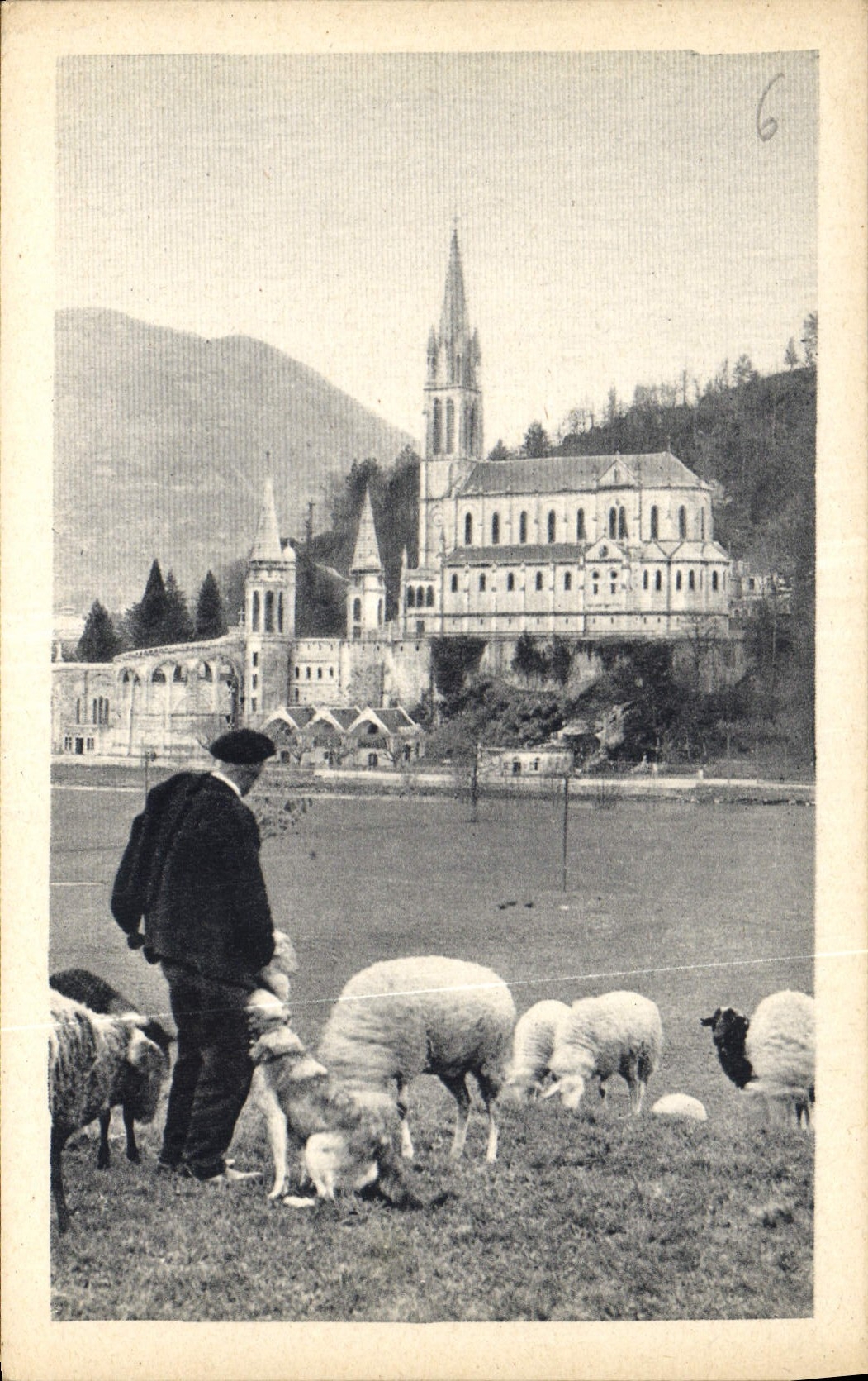 CPA Lourdes La Basilique Berger Moutons