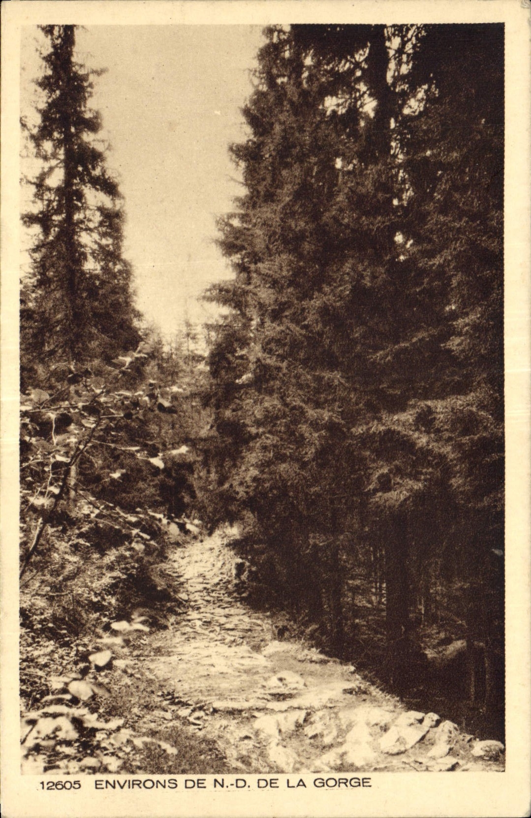 CPA Environs de ND de la Gorge 