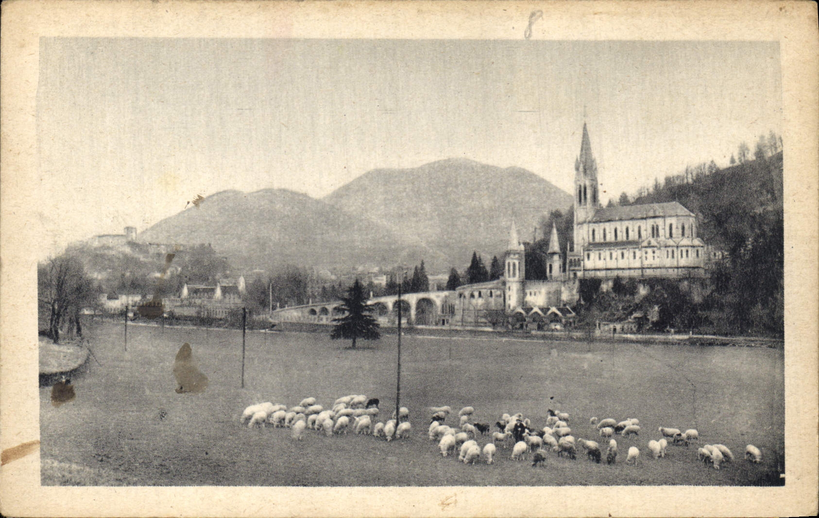 CPA Lourdes La Basilique et le Chateau Fort 