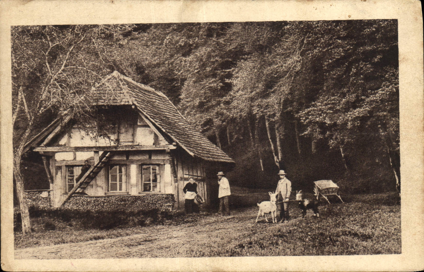 CPA Maison Folklore Chevre