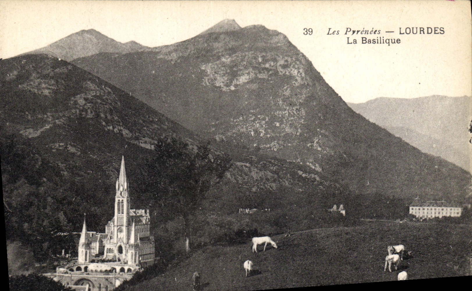 CPA Les Pyrenees Lourdes la Basilique Chevaux