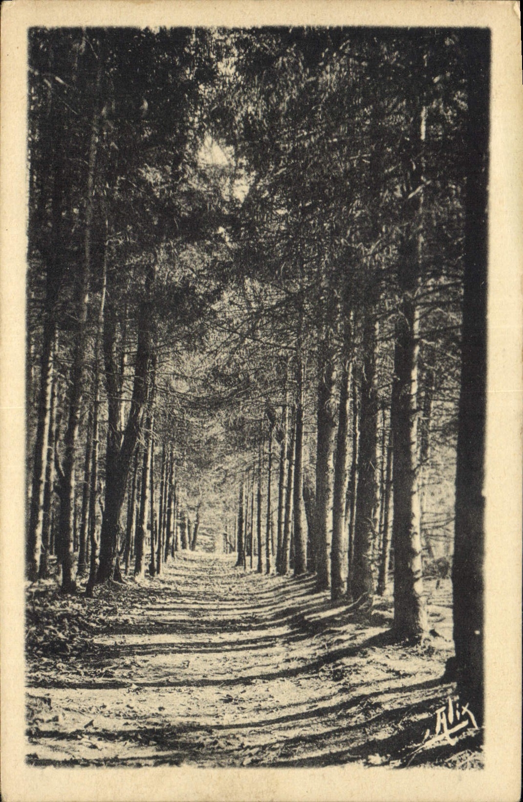 CPA Les Pyrenees Bagneres de Bigorre Promenade du Bedat Petites Vosges 