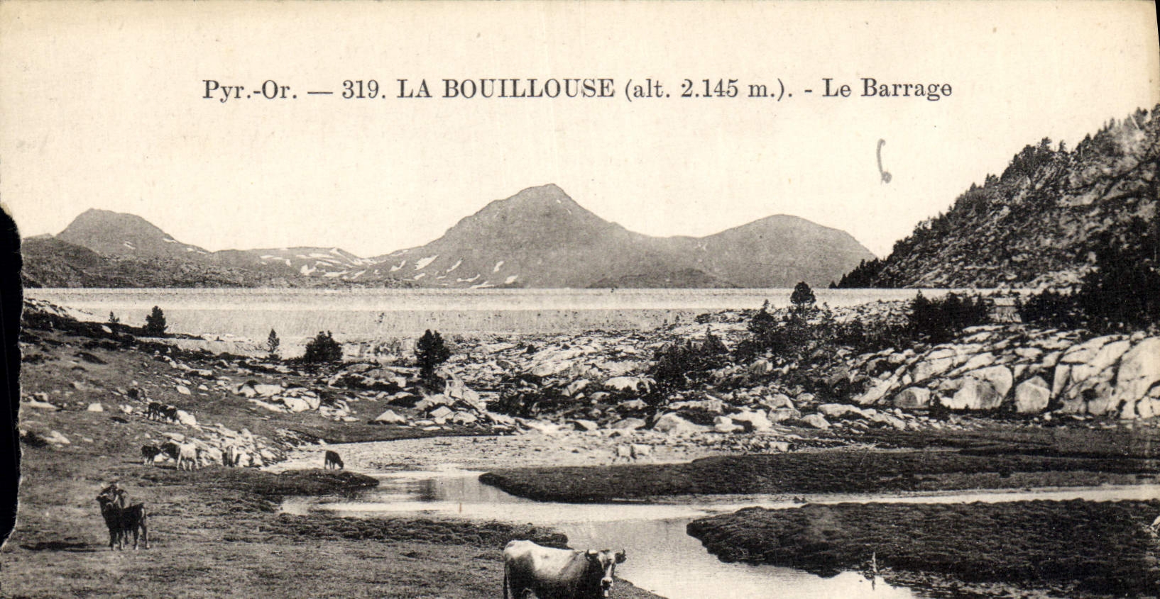 CPA La Bouillouse le Barrage Vache
