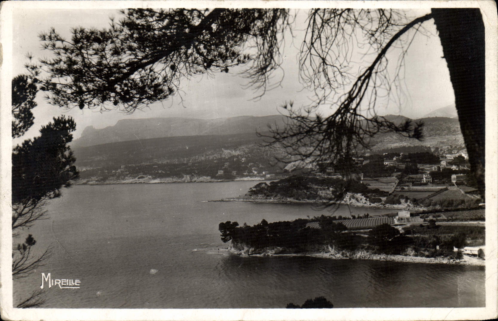 CPA La cote Provencale Cassis sur Mer une vue sur le Golfe