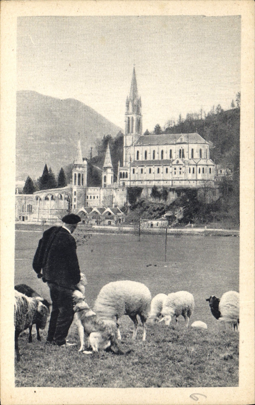 CPA Lourdes la Basilique 