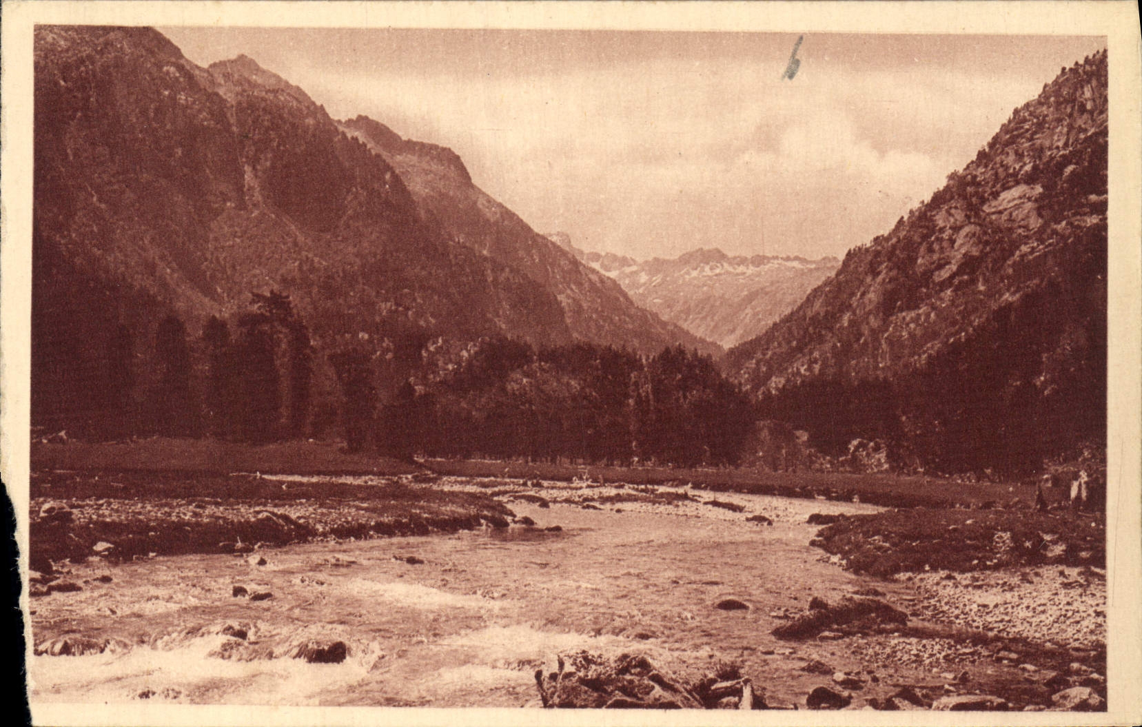 CPA Cauterets Vallee du Marcandan Le Plateau de Cayan 