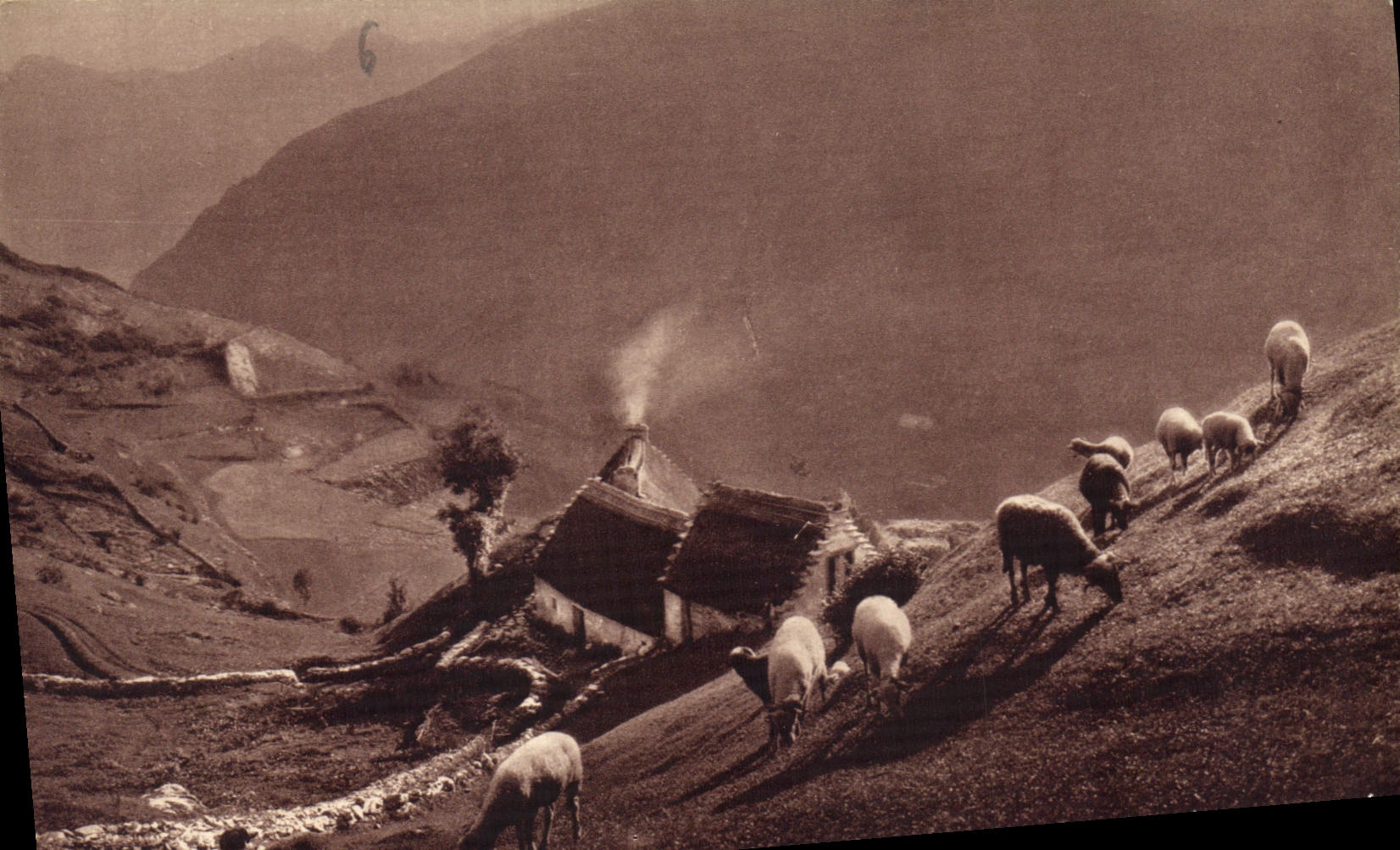 CPA Gavarnie environs H P Paturages dans la montagne Moutons